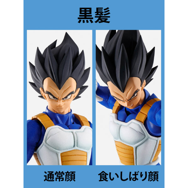 IMAGINATION WORKS - Dragon Ball Z Vegeta