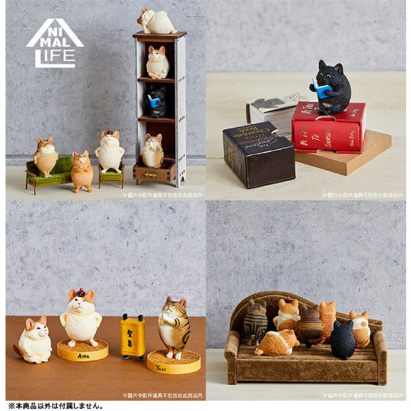 ANIMAL LIFE Collaboration Series TOSHIO ASAKUMA × FUMEANCATS (8 Pcs Box Set)