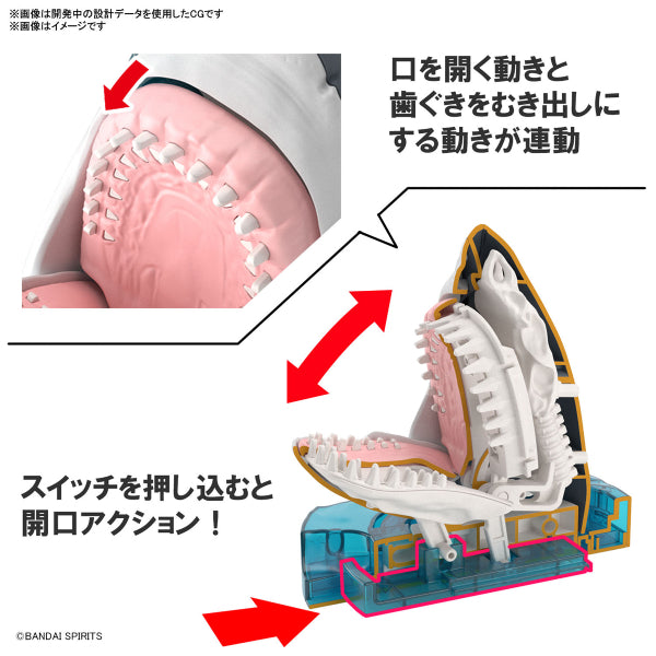 Exploring Lab Nature Great White Shark