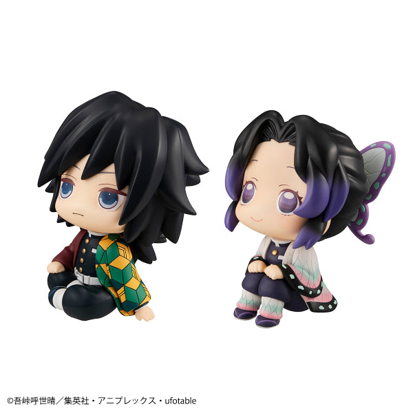 Demon Slayer - Stare at you Series (Shinobu Kocho / Giyu Tomioka) (Nov 2021 resale ver.)