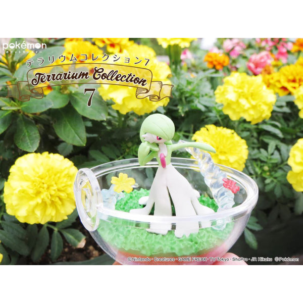 Pokemon Terrarium Collection 7 Pikachu Growlithe Farfetch'd Clefairy Mewtwo Figures