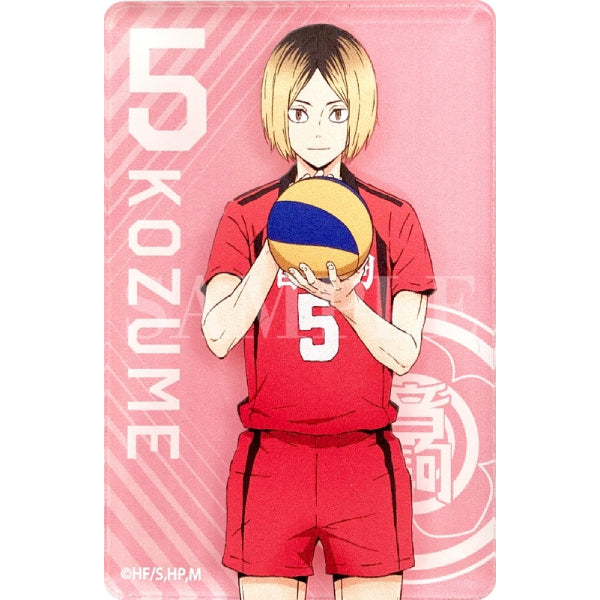 Haikyu !! TO THE TOP Acrylic Magnet Collection (Set of 11)