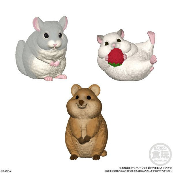 TE-NORI FRIENDS 5 W/O GUM (set of 10)