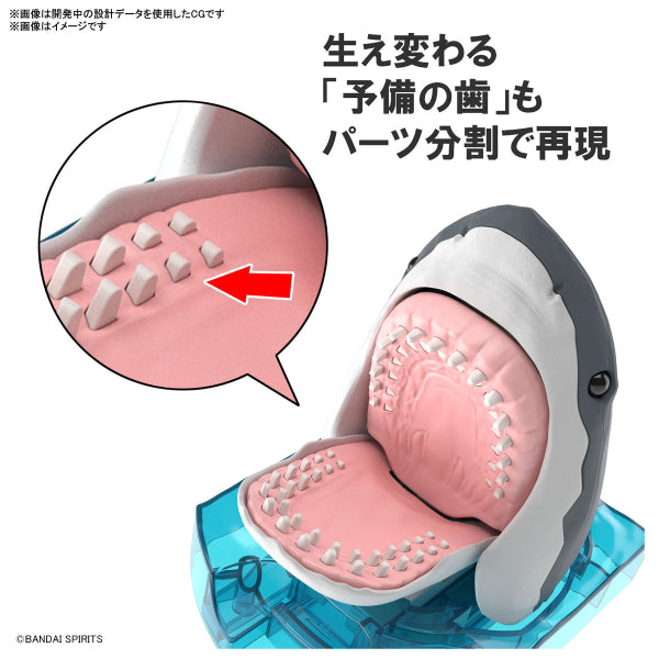 Exploring Lab Nature Great White Shark