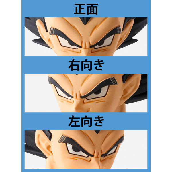 IMAGINATION WORKS - Dragon Ball Z Vegeta