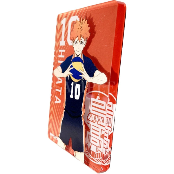 Haikyu !! TO THE TOP Acrylic Magnet Collection (Set of 11)