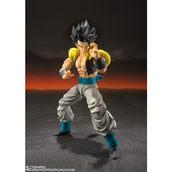 [SHF] SUPER SAIYAN GOD SUPER SAIYAN GOGETA