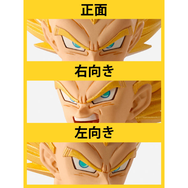 IMAGINATION WORKS - Dragon Ball Z Vegeta