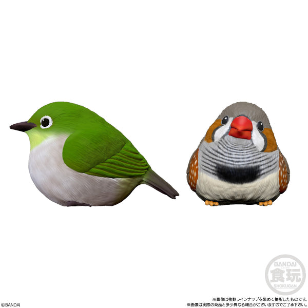 TE-NORI FRIENDS 4 W/O GUM (Set of 11) (2025 Aug resale ver.) 雀 鳥