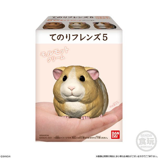 TE-NORI FRIENDS 5 W/O GUM (set of 10)