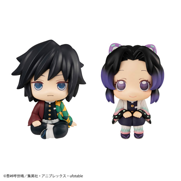 Demon Slayer - Stare at you Series (Shinobu Kocho / Giyu Tomioka) (Nov 2021 resale ver.)