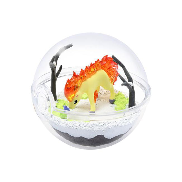 Pokemon Terrarium Collection 5 Pikachu Pidgeotto Suicune Espeon Ponyta Figures