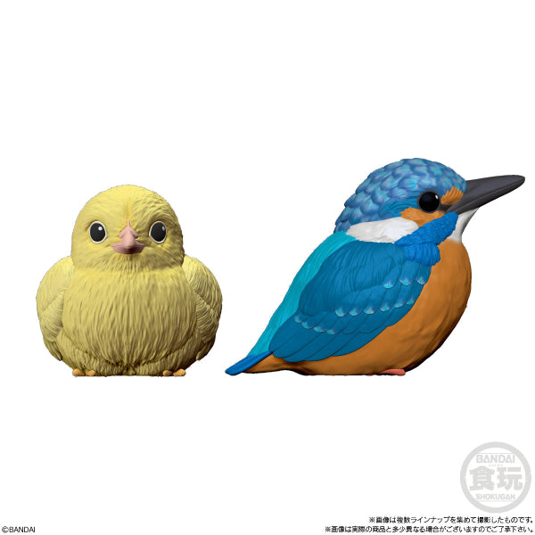 TE-NORI FRIENDS 4 W/O GUM (Set of 11) (2025 Aug resale ver.) 雀 鳥