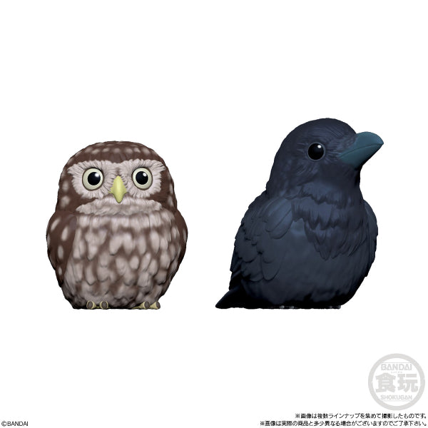 TE-NORI FRIENDS 4 W/O GUM (Set of 11) (2025 Aug resale ver.) 雀 鳥