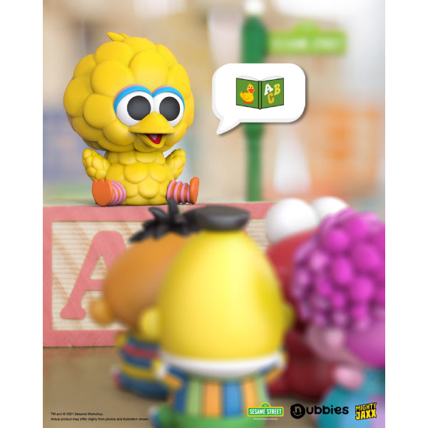 Mighty Jaxx - SESAME STREET Nubbies