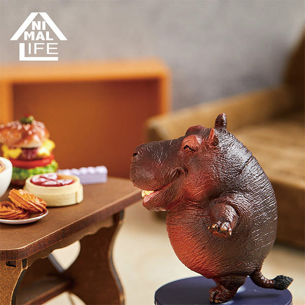 Animal Life - Chubby Series Say Cheese (Set of 6)