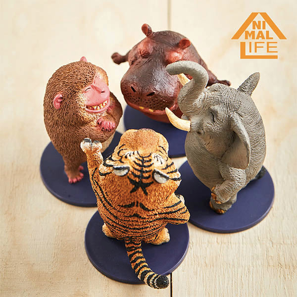 Animal Life - Chubby Series Say Cheese (Set of 6)