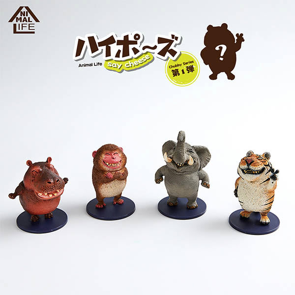 Animal Life - Chubby Series Say Cheese (Set of 6)