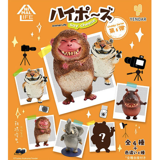 Animal Life - Chubby Series Say Cheese (Set of 6)