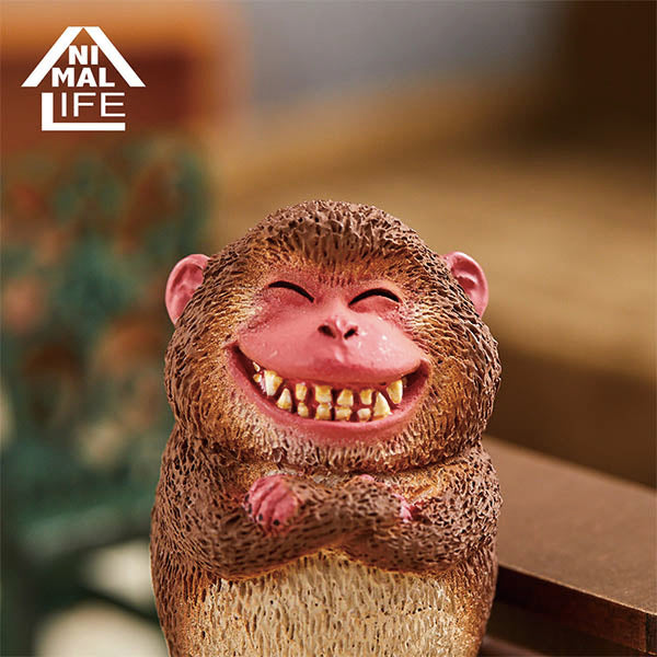 Animal Life - Chubby Series Say Cheese (Set of 6)