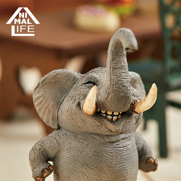 Animal Life - Chubby Series Say Cheese (Set of 6)