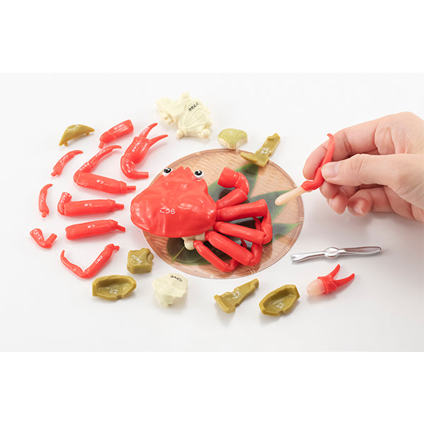 [Kaitai puzzle] [Crab] 解體拼圖 長腳蟹
