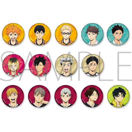Haikyu !! TO THE TOP 排球少年 Trading Can Badge (set of 14)