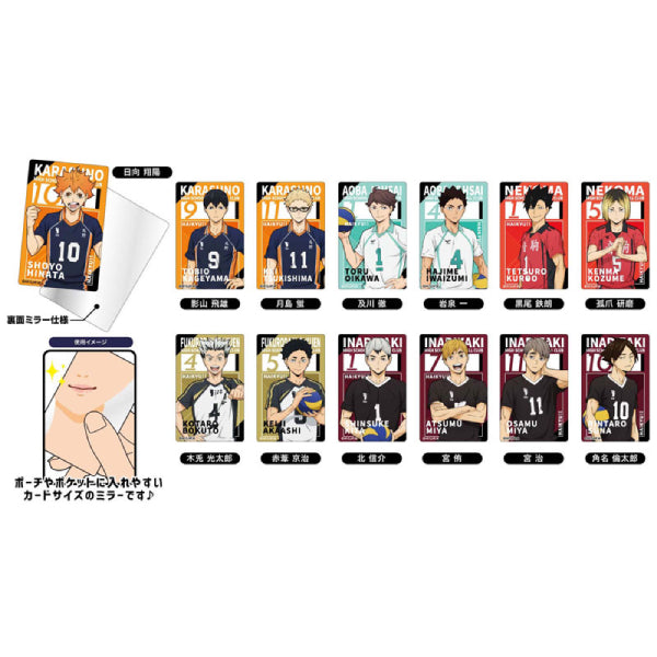 Chara Plate Mirror Haikyuu!! (set of 13) 排球少年