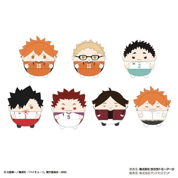 Haikyu!! 排球少年 Fuwakororin M size 5 (7 variants)