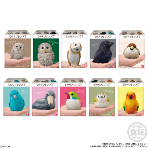 TE-NORI FRIENDS 7 -BIRDS- W/O GUM (set of 10)
