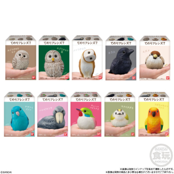 TE-NORI FRIENDS 7 -BIRDS- W/O GUM (set of 10)