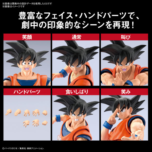 Figure-rise Standard SON GOKU (NEW SPEC Ver.) 龍珠