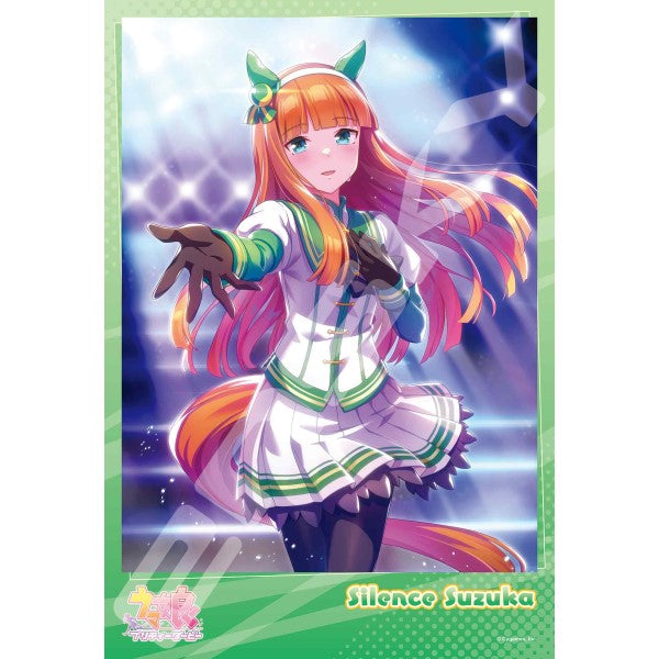 Uma Musume Pretty Derby 賽馬娘 Jigsaw Puzzle 300 Pieces (1995 [Silence Suzuka] / 1996 [Rice Shower] / 1997 [Seiun Sky & Nishino Flower])