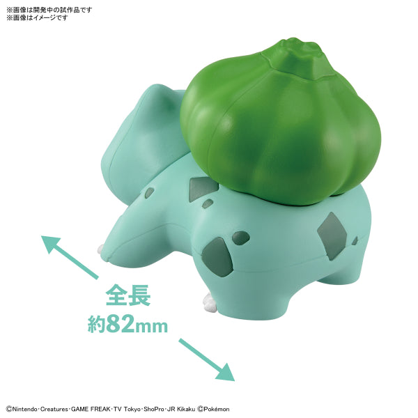 Pokémon PLAMO COLLECTION QUICK!! 13 Bulbasaur 寵物小精靈 寶可夢 奇異種子 妙蛙種子