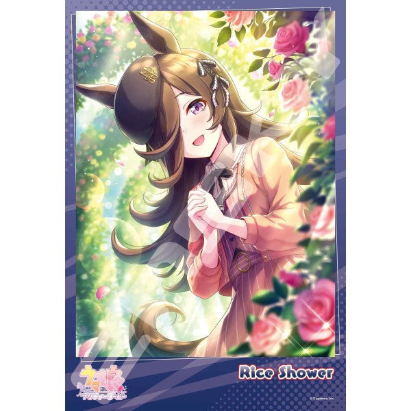 Uma Musume Pretty Derby 賽馬娘 Jigsaw Puzzle 300 Pieces (1995 [Silence Suzuka] / 1996 [Rice Shower] / 1997 [Seiun Sky & Nishino Flower])