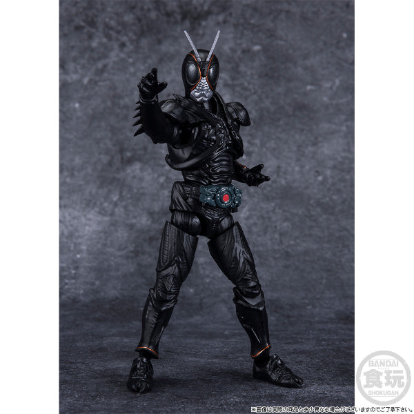 SHODO-XX KAMEN RIDER BLACKSUN & BATTLE HOPPER SET W/O GUM 幪面超人 掌動