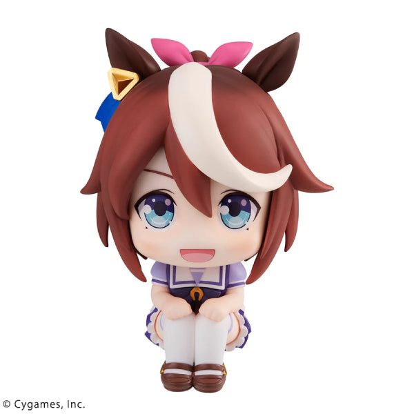 Look up Uma Musume Pretty Derby (Tokai Teio / Mejiro McQueen) 賽馬娘 (東海帝王 / 目白麥昆)