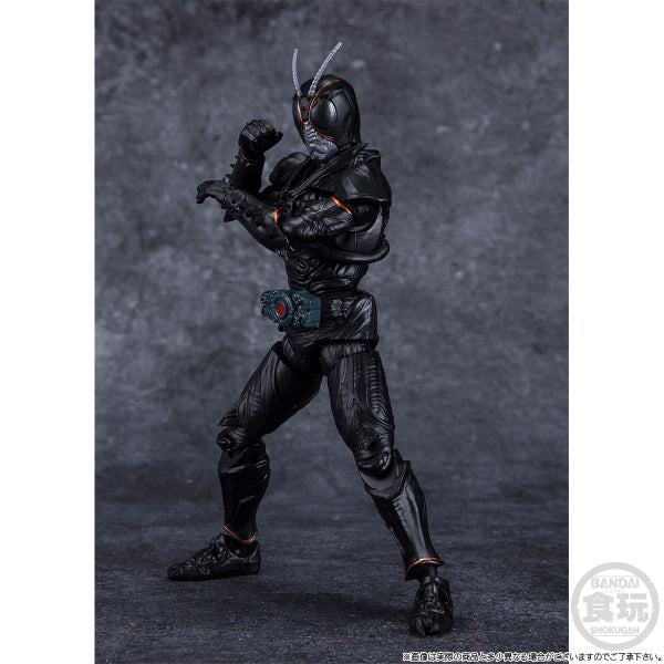 SHODO-XX KAMEN RIDER BLACKSUN & BATTLE HOPPER SET W/O GUM 幪面超人 掌動