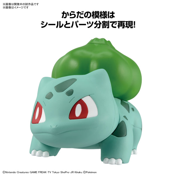 Pokémon PLAMO COLLECTION QUICK!! 13 Bulbasaur 寵物小精靈 寶可夢 奇異種子 妙蛙種子