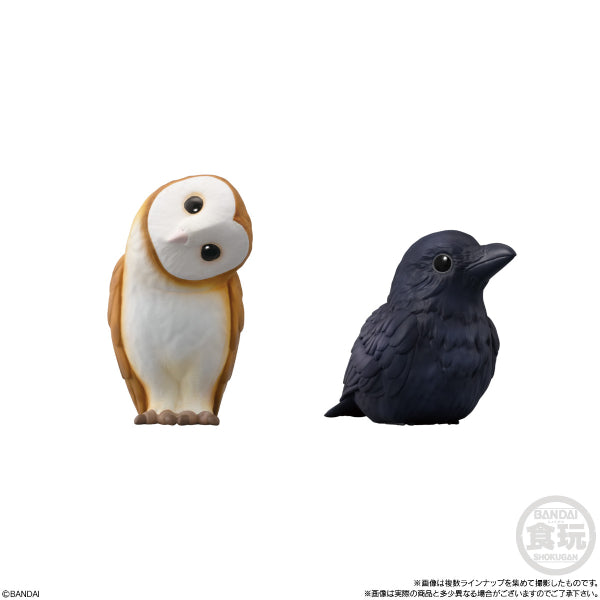 TE-NORI FRIENDS 7 -BIRDS- W/O GUM (set of 10)