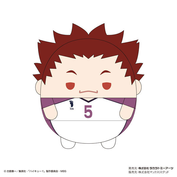 Haikyu!! 排球少年 Fuwakororin M size 5 (7 variants)