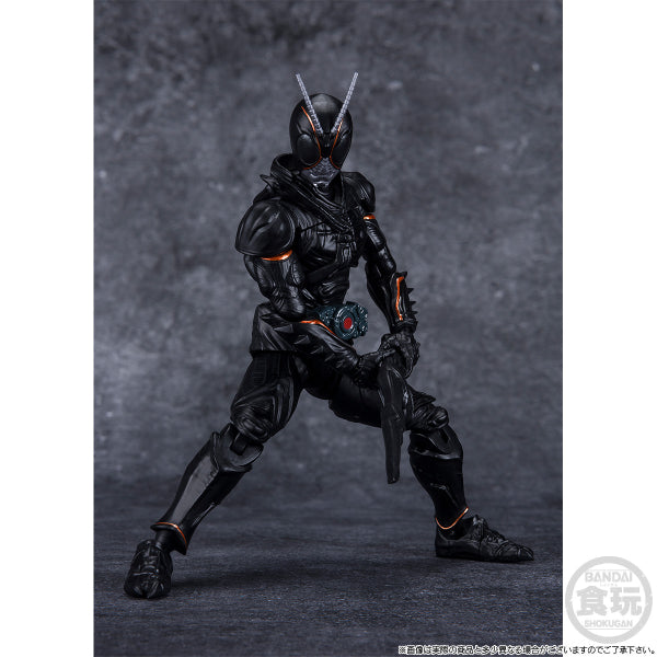 SHODO-XX KAMEN RIDER BLACKSUN & BATTLE HOPPER SET W/O GUM 幪面超人 掌動