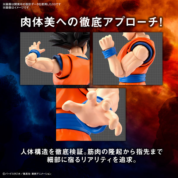 Figure-rise Standard SON GOKU (NEW SPEC Ver.) 龍珠