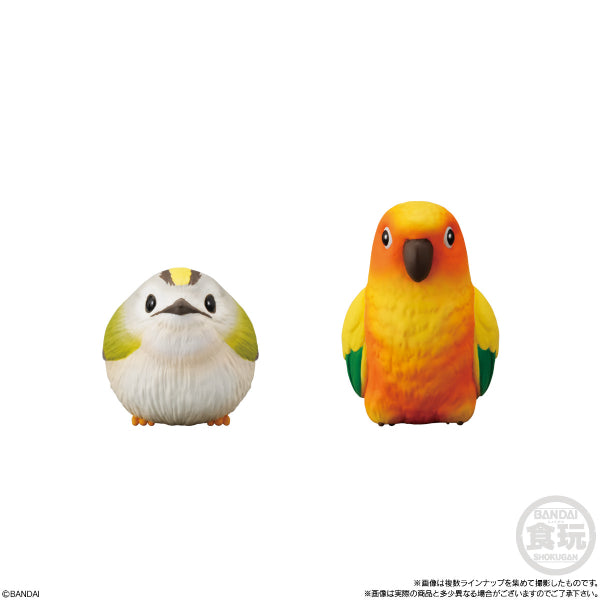 TE-NORI FRIENDS 7 -BIRDS- W/O GUM (set of 10)