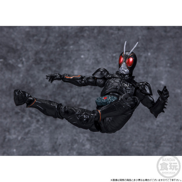 SHODO-XX KAMEN RIDER BLACKSUN & BATTLE HOPPER SET W/O GUM 幪面超人 掌動