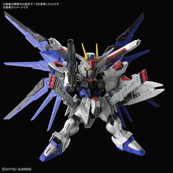 MASTER GRADE SD FREEDOM GUNDAM 機動戰士 高達 自由高達