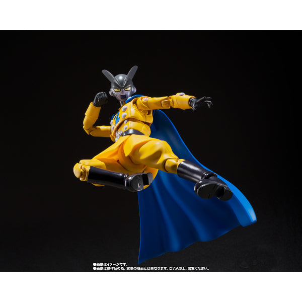 S.H.Figuarts GAMMA 2 龍珠