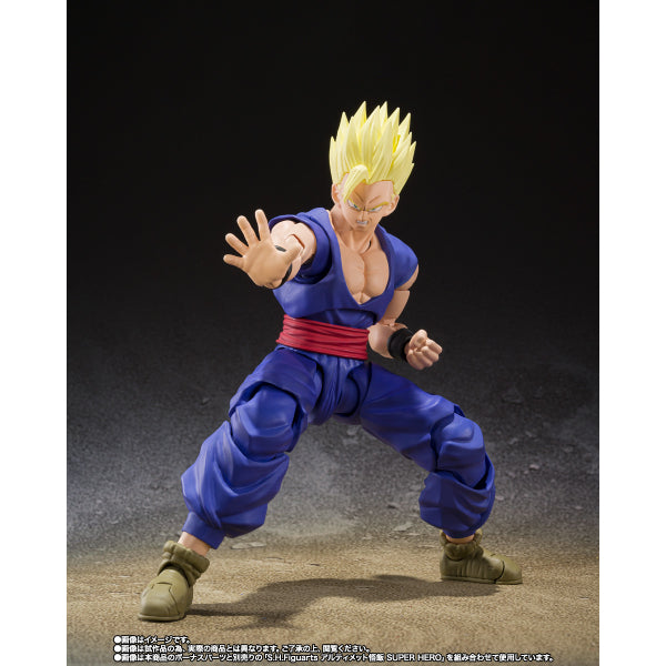 S.H.Figuarts GAMMA 1 龍珠