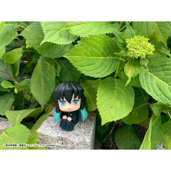 Lookup Demon Slayer： Kimetsu no Yaiba Muichiro Tokito 鬼滅之刃 霞柱 時透無一郎 (2023 Sep. Resale ver.)