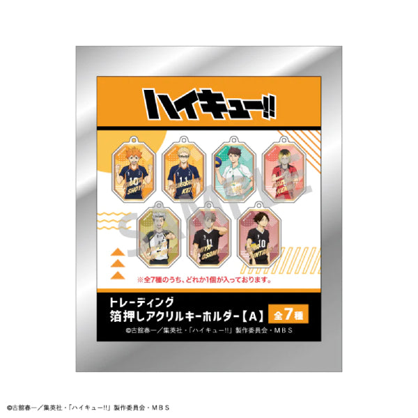 Haikyu!! Trading Gilding Key Ring A (set of 7) 排球少年 鎖匙扣 吊飾 掛飾